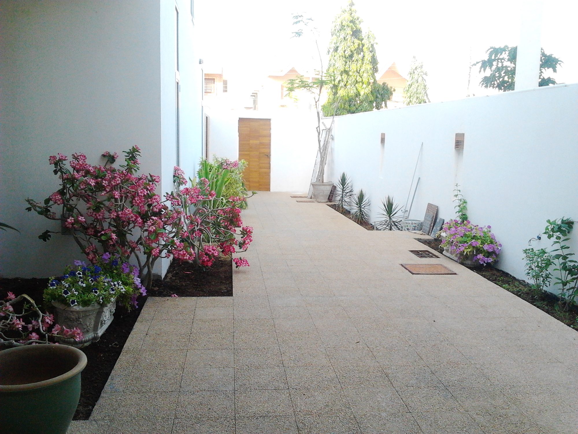 House Sofia